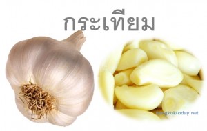 กระเทียม ต้านมะเร็ง ลดความดันโลหิต พืชผักสวนครัวทำเงิน