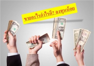 ขายอะไรกำไรดี ลงทุนน้อย ลองดู 5 ไอเดีย เหมาะมาก! คนทำงานประจำ