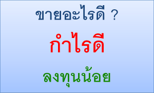 ขายอะไรดี ลงทุนน้อย ไม่ยุ่งยาก กำไรดี ในยุคออนไลน์แบบบุฟเฟ่ต์