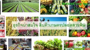 ธุรกิจน่าสนใจ สินค้าเกษตรปลอดสารพิษ โอกาสของทายาทเกษตรกรไทย