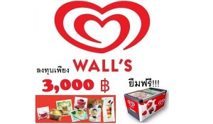 แฟรนไชส์ ไอศกรีมวอลล์ ลงทุนน้อยเริ่มต้นเพียง 3,000 บาท