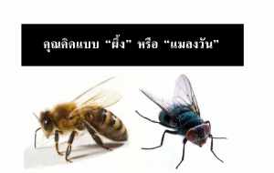 [คุณคิดแบบไหน] คิดแบบ”ผึ้ง” หรือ “แมลงวัน”