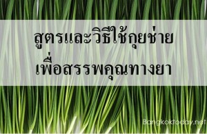 สูตรและวิธีใช้กุยช่าย เพื่อสรรพคุณทางยา