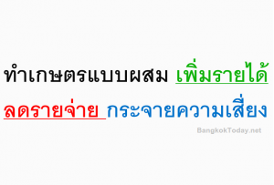 ทำเกษตรแบบผสม เพิ่มรายได้ ลดรายจ่าย กระจายความเสี่ยง!