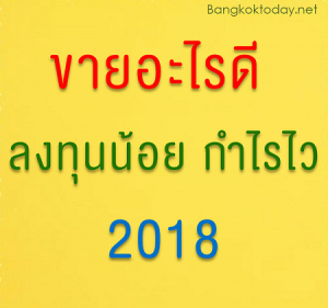 ขายอะไรดี 2018 ลงทุนน้อย กำไรไว