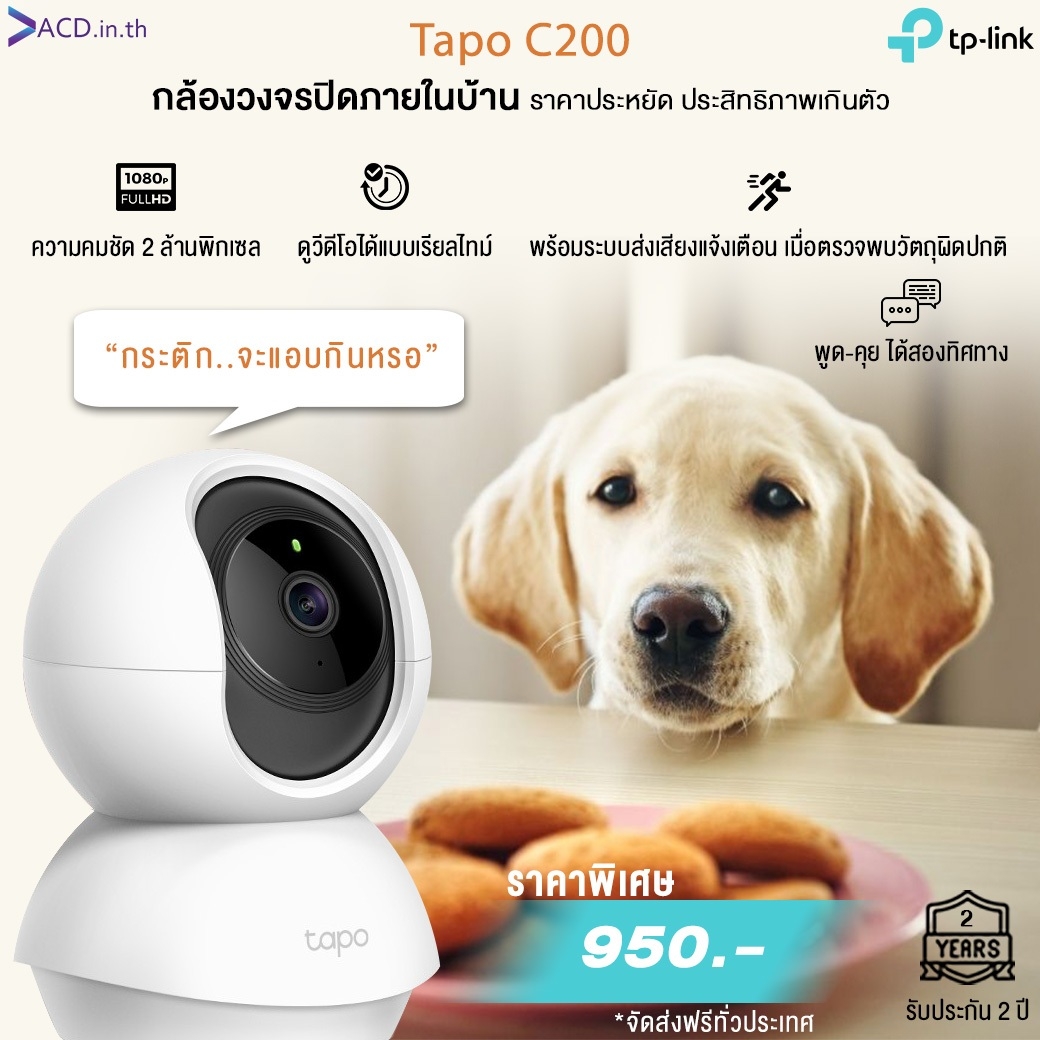 งานวิจัยเผย! คนที่ชอบคุยกับน้องหมาน้องแมวมักเป็นคนฉลาด