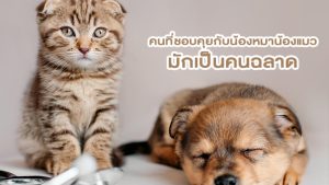 งานวิจัยเผย! คนที่ชอบคุยกับน้องหมาน้องแมวมักเป็นคนฉลาด