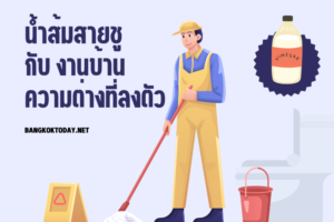 Vinegar : น้ำส้มสายชู กับ งานบ้าน ความต่างที่ลงตัว