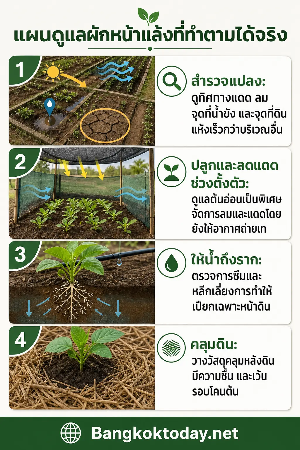 แผนดูแลผักหน้าแล้งที่ทำตามได้จริง