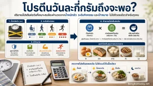 โปรตีนวันละกี่กรัมถึงจะพอ คำนวณจากน้ำหนักตัวและกิจกรรมอย่างไร — โปรตีนต่อวัน