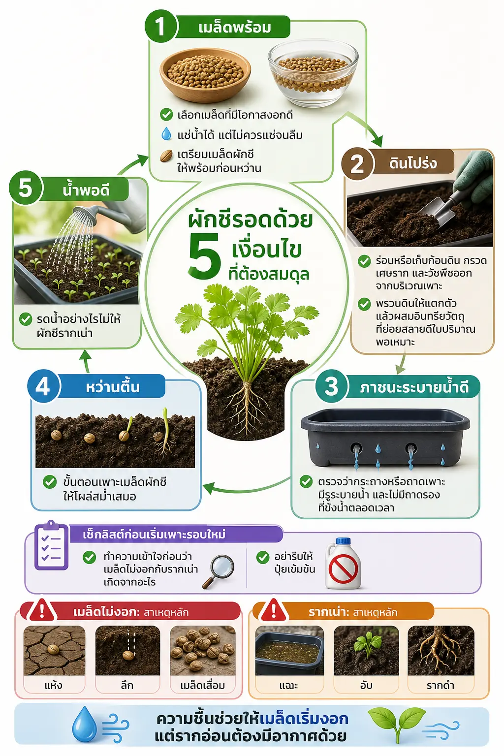 แผนผังศูนย์กลางเป็น “ต้นกล้ารอด” ล้อมด้วย 5 ปัจจัยเรียงตามลำดับก่อนหว่านถึงหลังงอก สรุปภาพรวม: