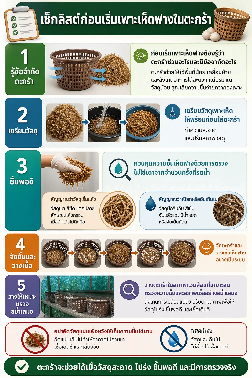วิธีเพาะเห็ดฟางในตะกร้า — เส้นทาง 5 ขั้นพร้อมจุดเตือน: รู้ข้อจำกัดตะกร้า → เตรียมวัสดุสะอาด → ปรับความชื้น →