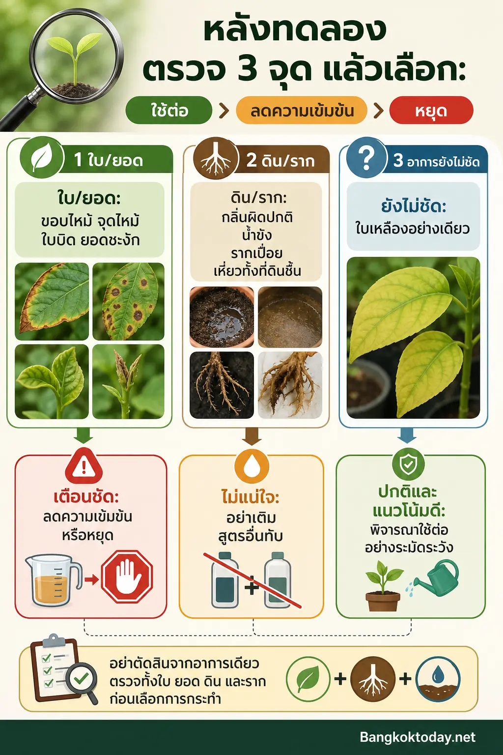 วิธีทำน้ำหมักชีวภาพ — สามคอลัมน์ ใบ/ยอด ดิน/ราก และอาการยังไม่ชี้ชัด เชื่อมเข้าสู่การตัดสินใจ ใช้ต่อ