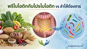 พรีไบโอติกกับโปรไบโอติกต่างกันอย่างไร ลำไส้ต้องการแบบไหนกันแน่